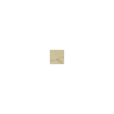 Caesar Anima Marfil AE.Sig. 2x2 см вставка Caesar Anima Marfil AE.Sig. 2x2 см вставка