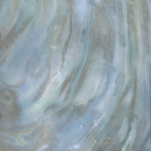 Roberto Cavalli Bright Pearl Raibow Rett. 80x80 см Напольная плитка Roberto Cavalli Bright Pearl Raibow Rett. 80x80 см Напольная плитка