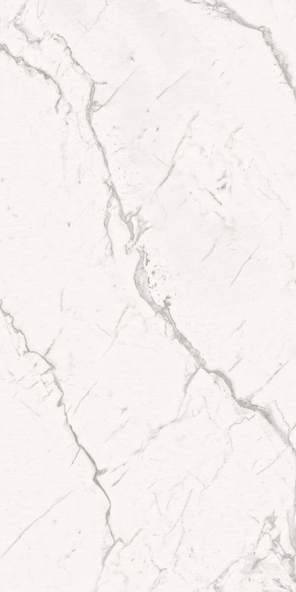 Decovita Armonia Silver Lappato 60x120 см Напольная плитка Decovita Armonia Silver Lappato 60x120 см Напольная плитка