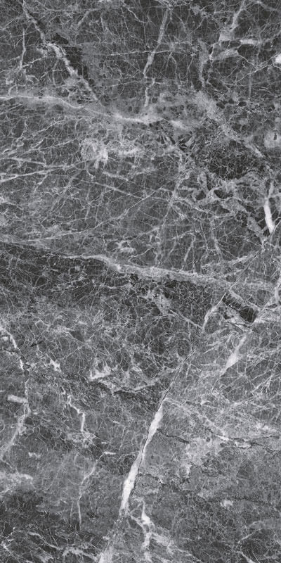 Caesar Anima Grey St.Laurent 30x60 см Напольная плитка Caesar Anima Grey St.Laurent 30x60 см Напольная плитка