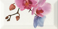 Monopole, Bisel, Decor Orchidea 4 Декор 10x20 Monopole, Bisel, Decor Orchidea 4 Декор 10x20