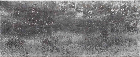 Latina, Arosa-Frades-Floral-Max-Move-Moon, Frades Negro плитка настенная 250х600 мм - 1,05/72,00