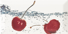 Monopole, Bisel, Decor Aqua Cherry Декор 10x20 Monopole, Bisel, Decor Aqua Cherry Декор 10x20