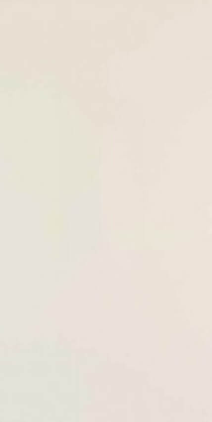 Grespania Coverlam Basic Blanco 500x1000 напольная плитка Grespania Coverlam Basic Blanco 500x1000 напольная плитка