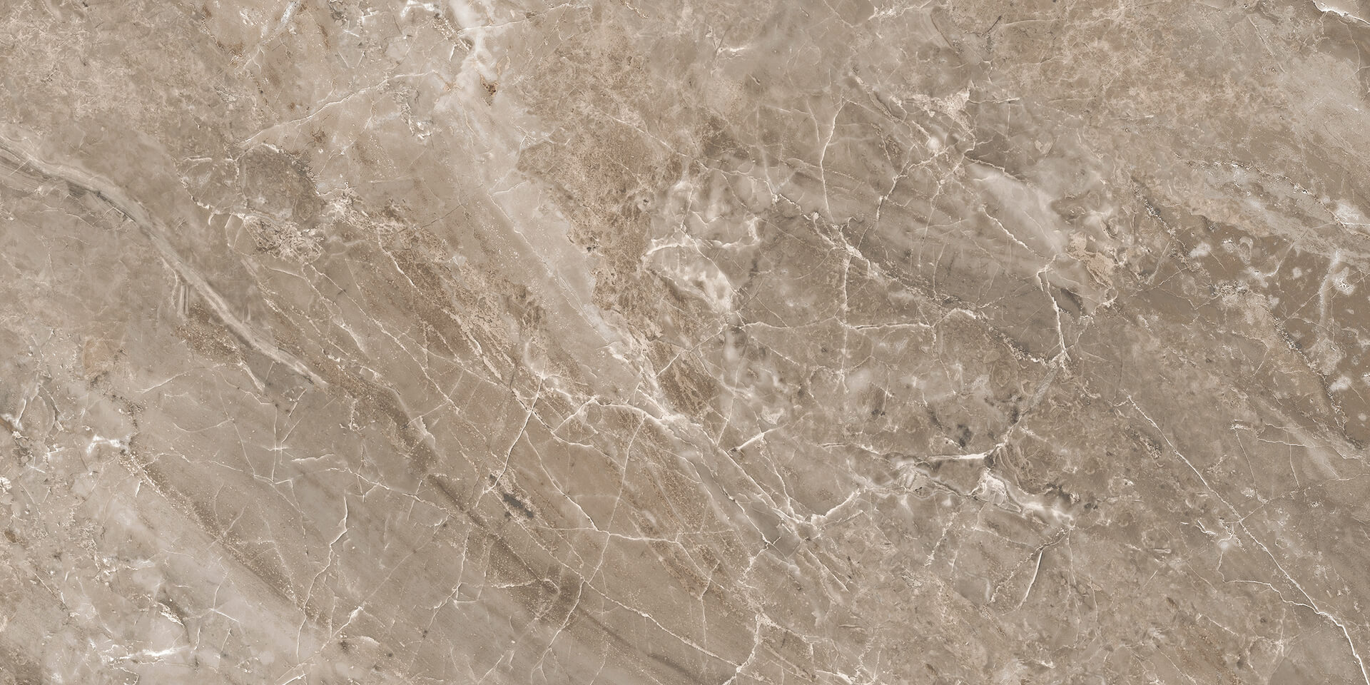 Versace Marble Grigio Onice Lap 58,5x117,5 см Напольная плитка Versace Marble Grigio Onice Lap 58,5x117,5 см Напольная плитка