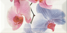 Monopole, Bisel, Decor Orchidea 2 Декор 10x20 Monopole, Bisel, Decor Orchidea 2 Декор 10x20