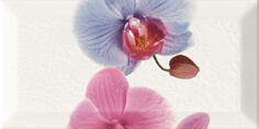 Monopole, Bisel, Decor Orchidea 3 Декор 10x20 Monopole, Bisel, Decor Orchidea 3 Декор 10x20