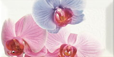 Monopole, Bisel, Decor Orchidea 1 Декор 10x20 Monopole, Bisel, Decor Orchidea 1 Декор 10x20