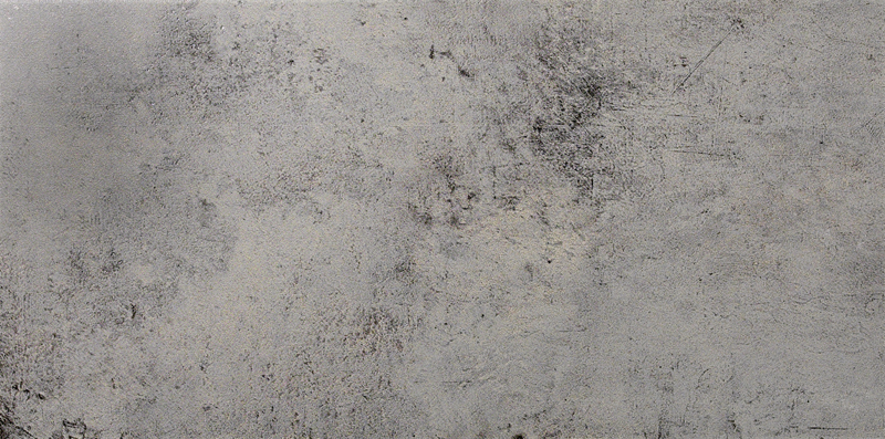 Ceracasa Ceramica Evolution Lapatto RECT Gris 49.1x98,2 Напольная плитка Ceracasa Ceramica Evolution Lapatto RECT Gris 49.1x98,2 Напольная плитка