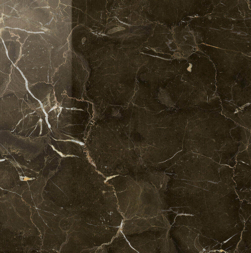 Caesar Anima Dark Emperador Lucidato 60x60 см Напольная плитка Caesar Anima Dark Emperador Lucidato 60x60 см Напольная плитка
