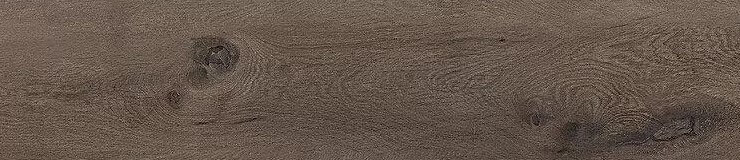Ariana Legend Brown Rett.20x120 см Напольная плитка Ariana Legend Brown Rett.20x120 см Напольная плитка