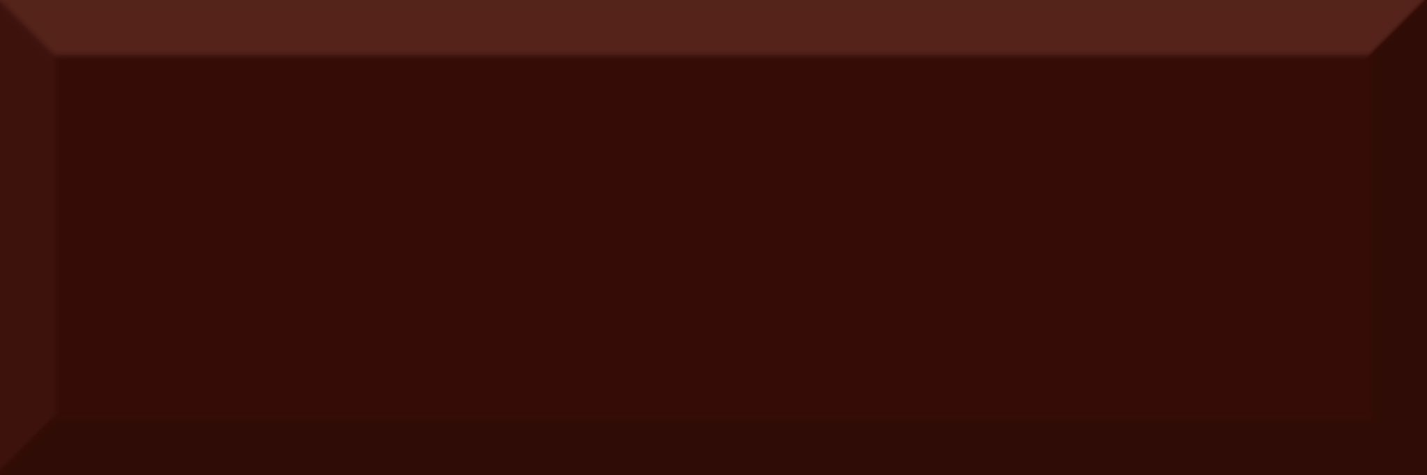 Absolut Keramika Tea 02 Monocolor Biselado Brillo Marron 10x30 см Настенная плитка