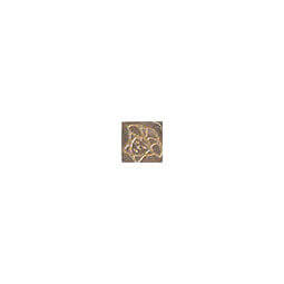Versace Marble Toz.Medusa Marron Sab 2,7x2,7 см Вставка