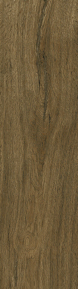 Emotion Ceramics Wild Caoba Porc 24x88 Напольная плитка