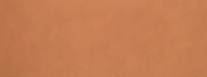 Fap Ceramiche Color Now Curcuma 30,5x91,5 Настенная плитка