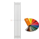 Arbiola Compact H 1250-63-05 секции цветной вертикальный радиатор c боковым подключением
