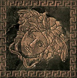 Versace Marble Toz.Medusa Nero Lev 14,4x14,4 см Вставка